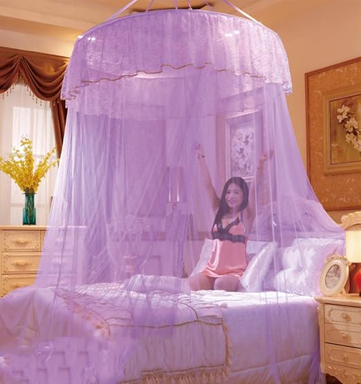 princess canopy crown