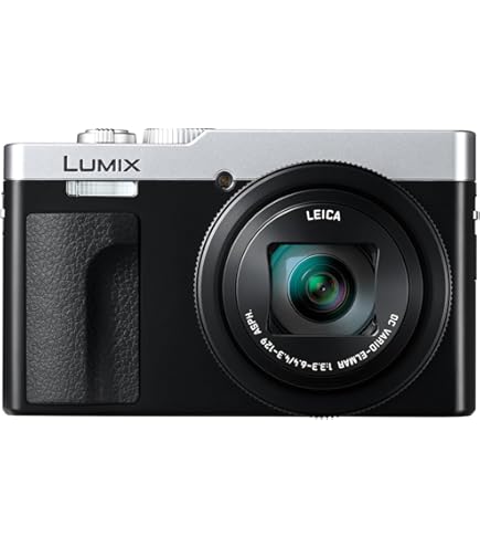 Amazon.com : Panasonic LUMIX TZ/ZS99 Point and Shoot Camera