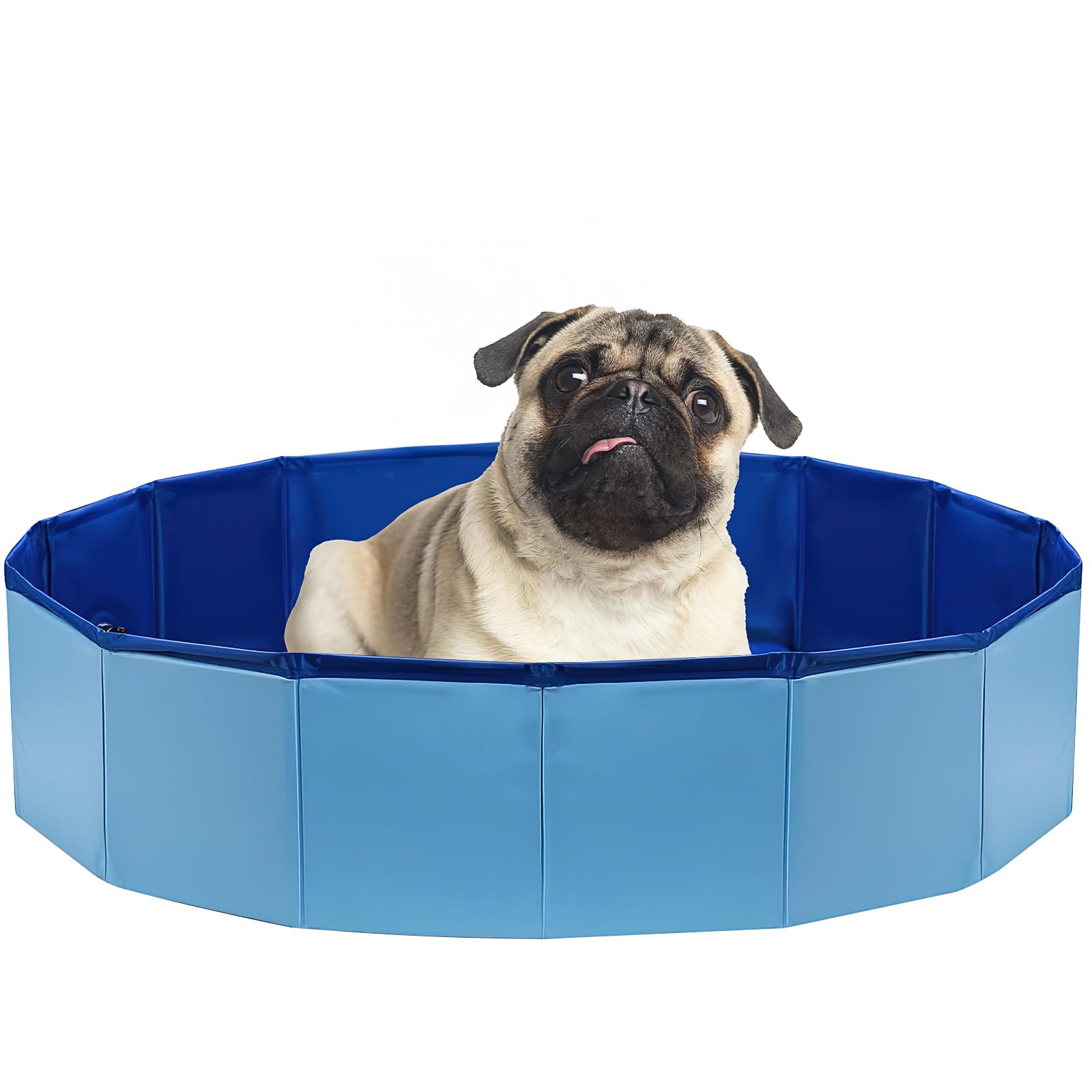 Small Paddling Pool for Dogs, 80cm Foldable Pet Swimming Pool for Puppy Cat Toddler, Portable Non-Slip Plastic Doggy Bathing Pool Bathtub for Garden Outdoor - Blue