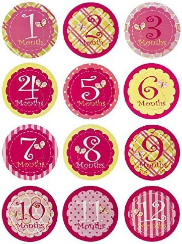 Blossoms and Buds Pink My First Year Monthly Belly Stickers by Blossoms &amp; Buds