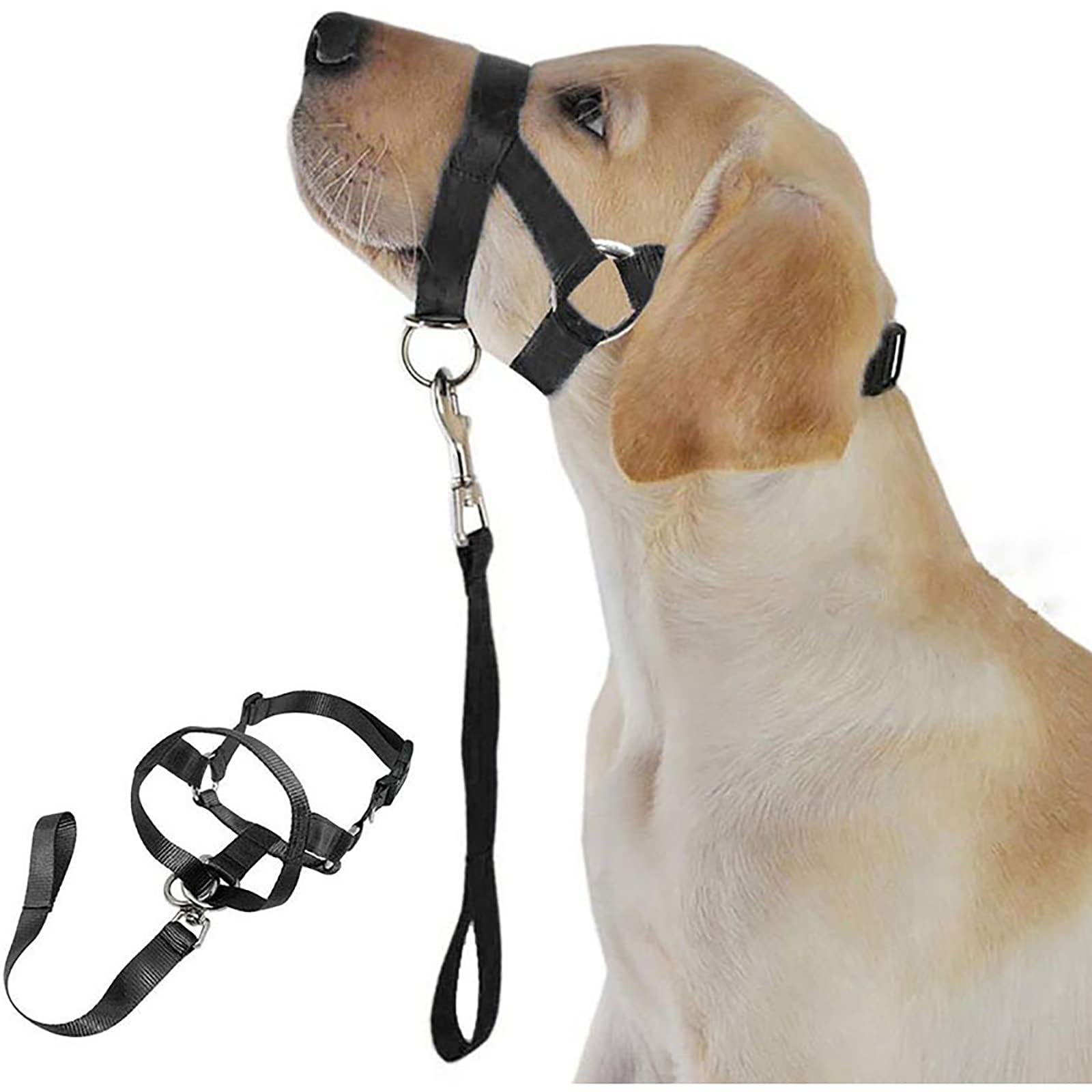 WUDQIJI Training Harness Dog Halter Pet Muzzle for Dogs Muzzle Dog Training Muzzle Dog Muzzle Black Dog Mouth Guard Training Holder Prevents Barking Biting and Chewing (M)
