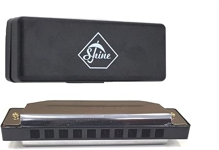 Shine Harmonica Music 10 Hole Key Instrumentent Mundspiel Geschenkset Fur Anfanger Im Tresorfach Amazon De Kuche Haushalt