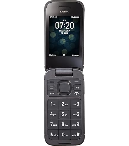 Tracfone TCL Flip 2 T408DL 16GB 日本語無し