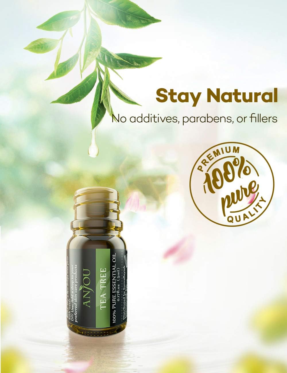 Essential Oils - Anjou Top 18 Aromatherapy Oils Premium Fragrance Oil Organic Pure for Diffuser Yoga Massage & DIY Personal Care,Foundation Set 5ml/Bottle: Health & Personal Care