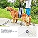 Fine-Pets Dog Sling Harness - Dog Support Lift Harness for Medium-Large Breed dogs - Dog Lifting Hip Harness for Rear Legs - Adjustable Handles and Soft for Elderly Dogs,Disabled,Injuired,Weak,Surgery