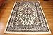 Traditional Isfahan Persian Area Rugs cream Ivory 5'2 x 7'3