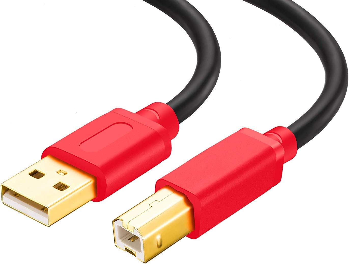 TanQY Printer Cable 3M, USB 2.0 High Speed Gold-Plated Connectors Printer Scanner Cable Cord A Male to B Male for HP Canon - Image 3
