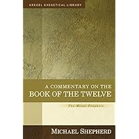 洋書 A Practical Grammar for Classical Hebrew 61Fo3DIJ1tL._UF1000,1000_QL80_.jpg