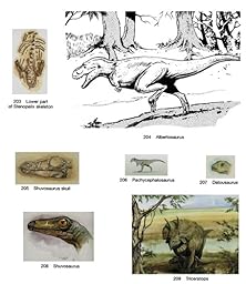 Dinosaur Cd Rom And Book Dover Electronic Clip Art Jan