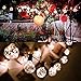Volterin 25+25 Ft Cork LED Light G40 Globe String Lights w/Clear Bulbs,UL Listed,Hanging Indoor Outdoor Bistro Pergola Backyard Tents Market Cafe Gazebo (25+25 Ft)
