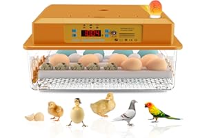 GENERIC Hethya 16 Eggs incubators for Hatching Eggs Fahrenheit with Automatic Turner Chicken Incubators Farm Poultry Incubators