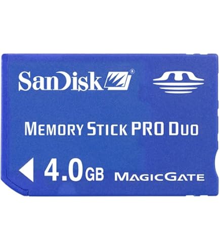 Amazon.com: Sony MSX-256 256 MB Memory Stick Pro : Electronics