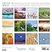 Audubon Nature: A Birder's Wall Calendar 2018