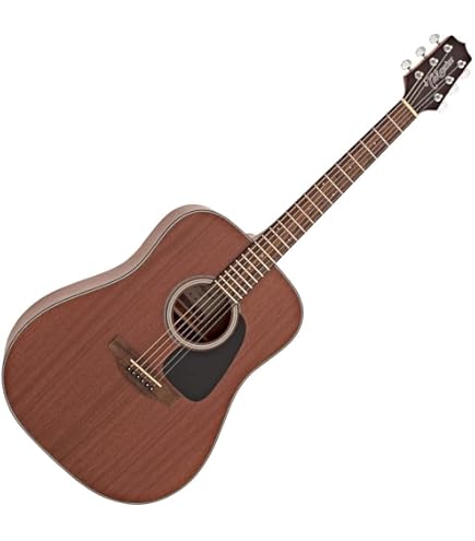 Amazon.com: Takamine GD20CE-NS Dreadnought Cutaway Acoustic