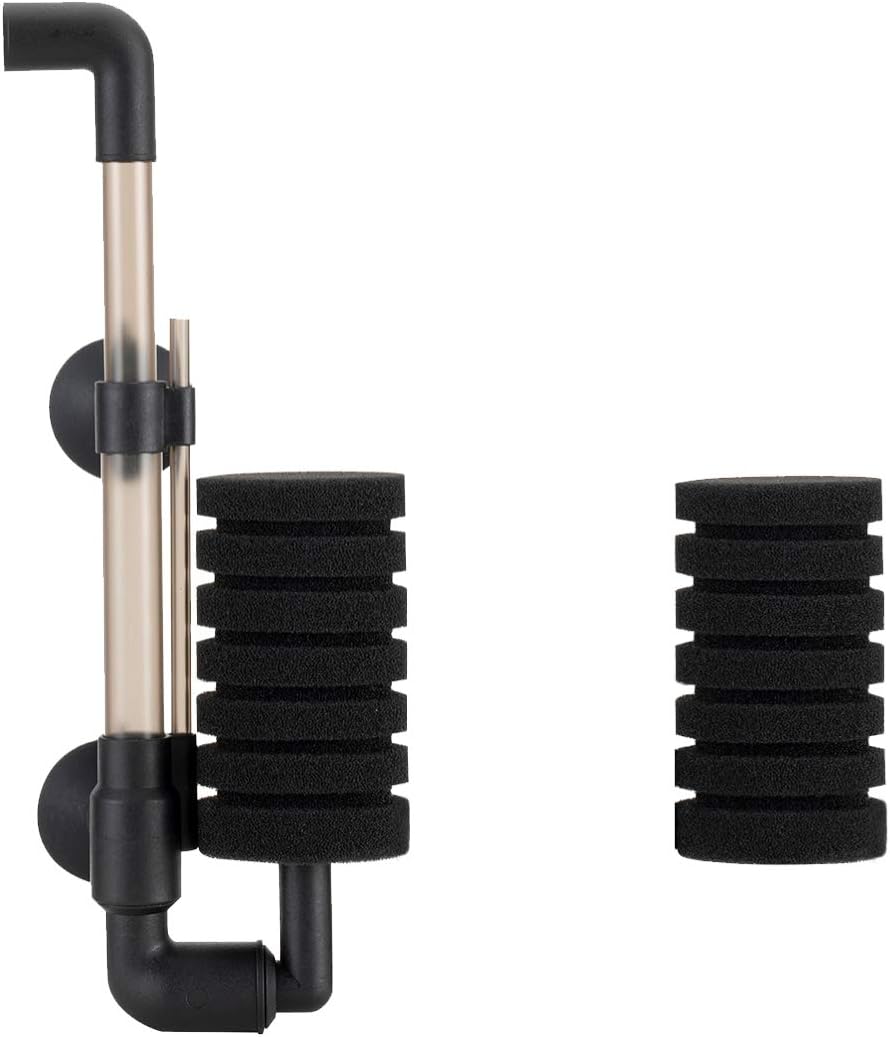 small sponge filter