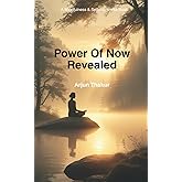 Power of Now Revealed: A Mindfulness & Self Awareness Book