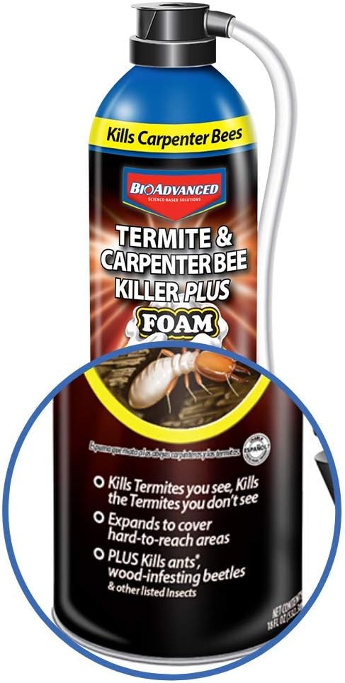 Amazon Com Bonide Bnd568 Termite And Carpenter Ant Killer