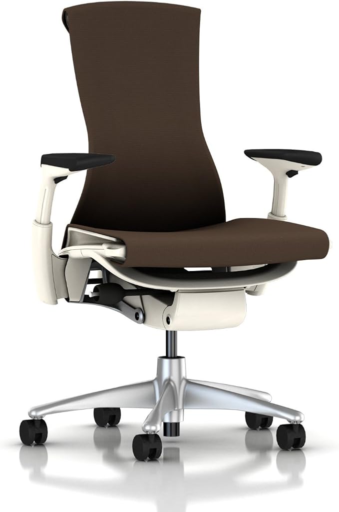 Herman Miller Embody Ergonomic Office Chair with White
