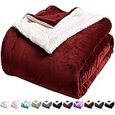 LBRO2M Sherpa Fleece Bed Blanket Queen Size Super Soft Plush Warm Cozy Microfiber Couch Throw Velvet Double Reversible Luxurious Blankets,Red
