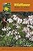 Wildflower Walks & Hikes: North Carolina Mountains by 