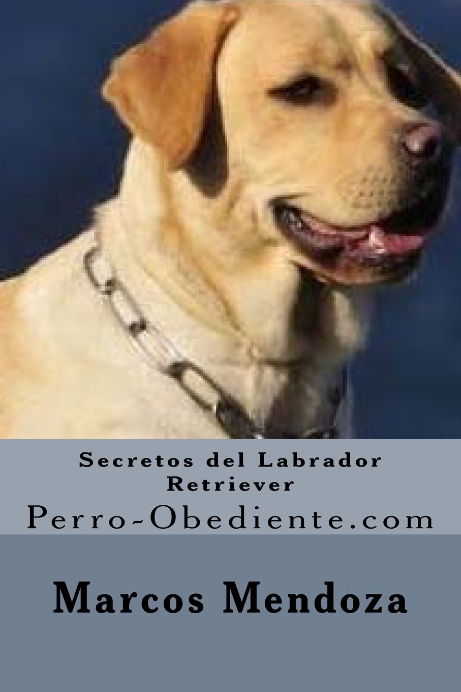 Por Que Mi Perro Se Orino En Mi Cama