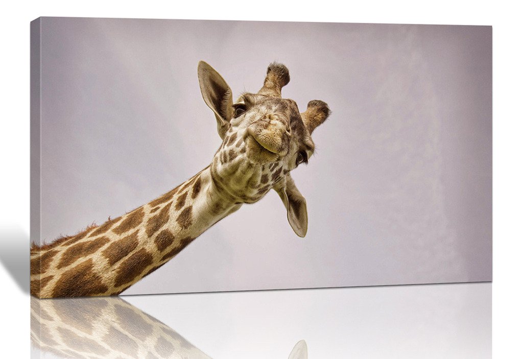 Lemon Tree Art One Panel Giraffe Watching Picture Prints on Canvas Wall Artwork Painting, 12x16 Inch Giclee Contemporary Framed Animal Painting for the Walls of the Room Office