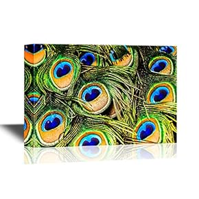 Canvas Wall Art - Peacock Feathers - Gallery Wrap Modern Home Art | Ready to Hang - 12x18 inches