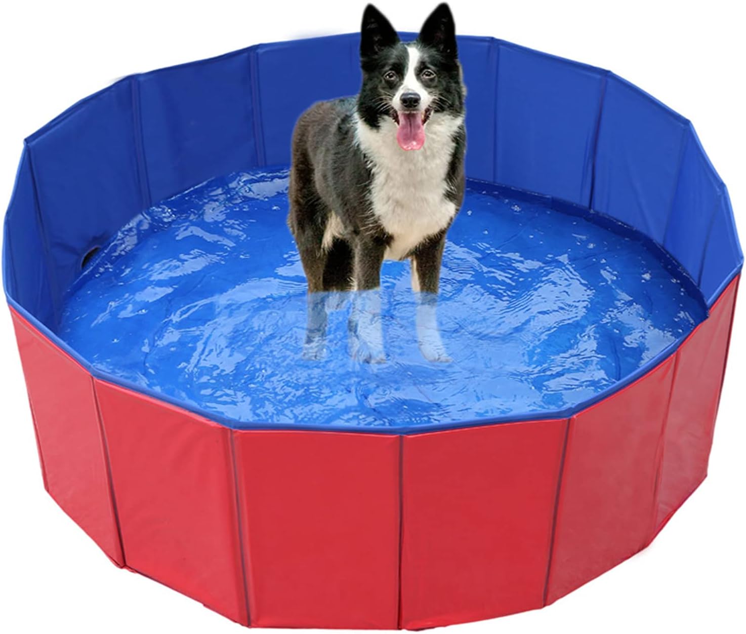 Бассейн для собак своими руками