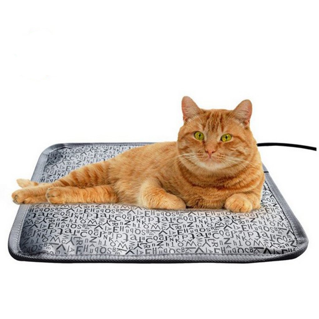 electric heated pet bed