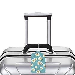 Docsckus 2 PCS PU Leahter Luggage Tag with