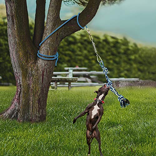 pitbull exercise toys