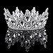 Vintage Rhinestones Crystal Crown for Women Wedding Bridal Tiara Flower Crown Hair Accessories (silver-white)