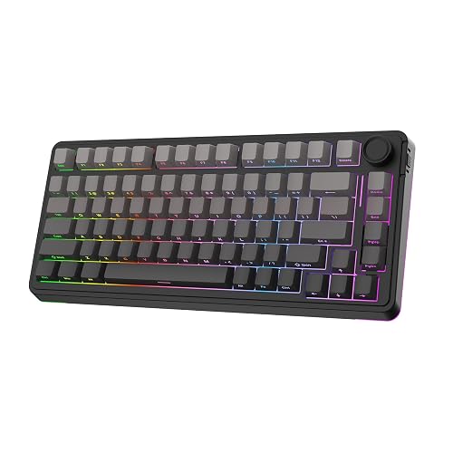 EPOMAKER EA75 75% RGB Gaming Mechanical Keyboard, 2.4GHz/Type-C/BT ...
