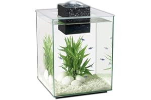 Fluval 10505 Chi II Aquarium Set, 5 gal, 25.4 X 25.4 X 36.5 cm