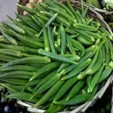 30 Indian Dark Green Tender Okra Seeds F1 Desi Bhindi Bendakaya भिन्डी - Early Variety First harvesting :40-45 Days After Sowing Planting Easy to Grow Outdoor Summer Garden (Abelmoschus esculentus)