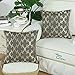 Pack of 2 CaliTime Throw Pillow Covers Cases for Couch Sofa Home Decor, Modern Quatrefoil Geometric Accent, 18 X 18 Inches, Grey