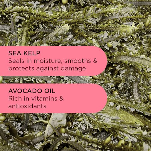 Noughty 97% Natural Wave Hello Curl Defining Conditioner to Condition Enhancing Soften and Define Curls with Sea Kelp Extract and Avocado Oil Sulphate Free Vegan Haircare 1L