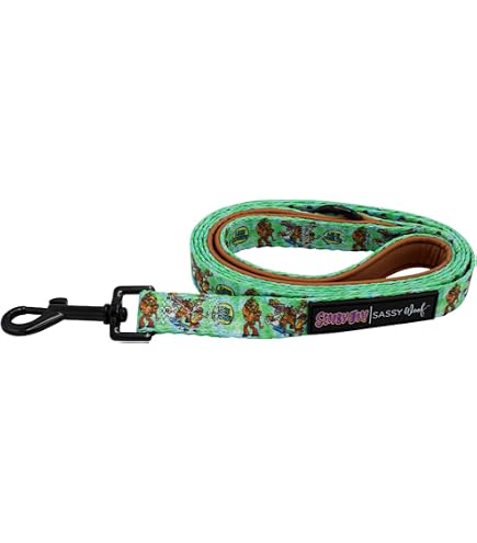 Buckle-Down Hundeleine Dinosaurier Design - Hochwertiges Nylon Mit Edelstahlbeschlägen, Verschiedene Längen Für Alle Hundegrößen