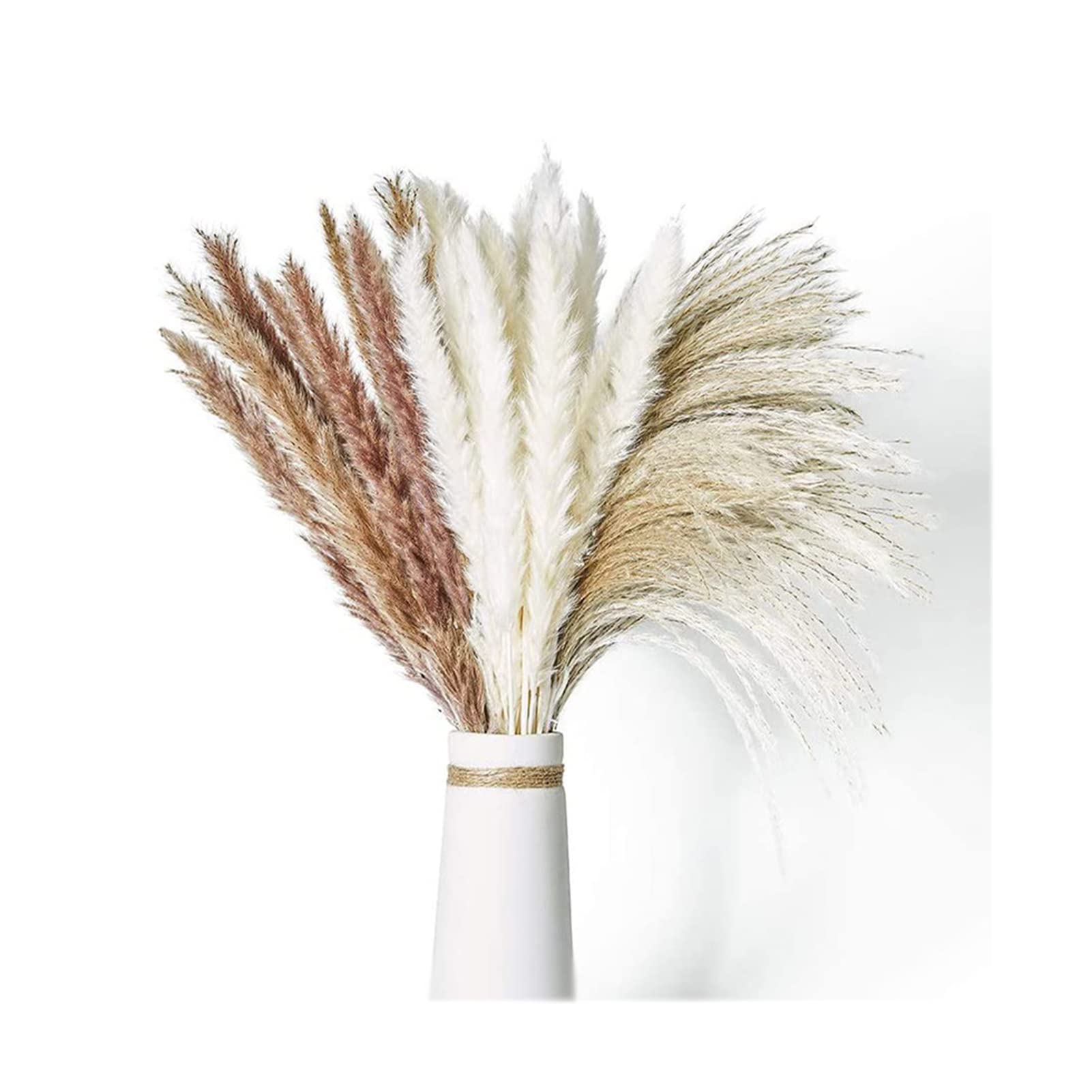 OctBird 70pcs Pampas Grass Decor, Dried Flowers Bouquet, Pampas Grass Artificial, Swingers Grass, Fluffy and Soft Pampas for Home Decor Wedding Boho Decor