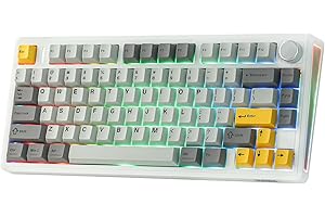 EPOMAKER TH80 V2 75% Wireless Mechanical Gaming Keyboard, 8000mAh & 2.4G/BT, Mac Modifier, RGB Backlit & Side Light, Programm