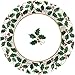 Christmas-Themed Seasonal Large Paper Plates Value Pack, 40 Ct. | Party Tableware