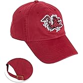 Desert Cactus University of South Carolina Baseball Hat Gamecocks USC Brimmed Embroidered Hats Cap Adjustable Cloth Strap Adult (Style H1) Red