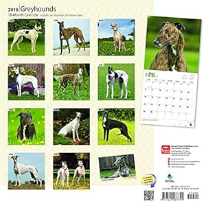 Greyhounds 2018 12 x 12 Inch Monthly Square Wall Calendar, Animals Dog Breeds (Multilingual Edition)