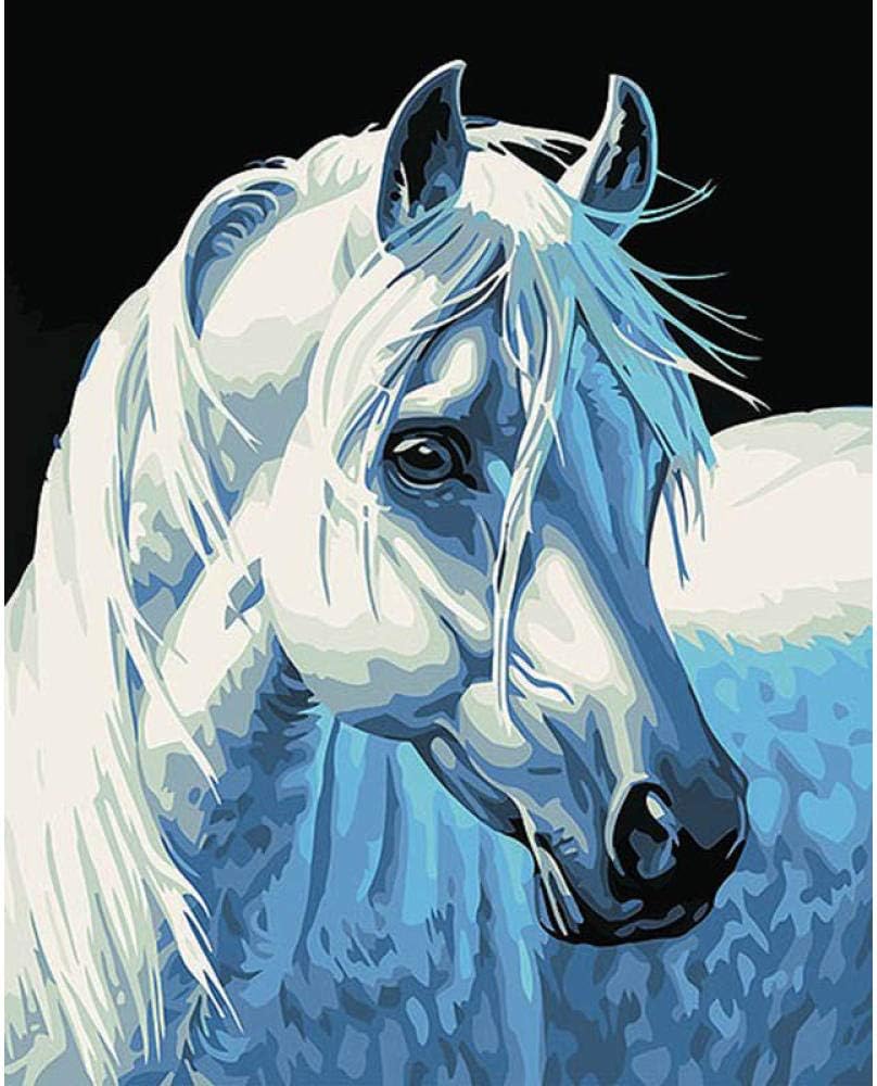 MEEKIS White Horse Kopf Tier DIY Digitale Malen nach