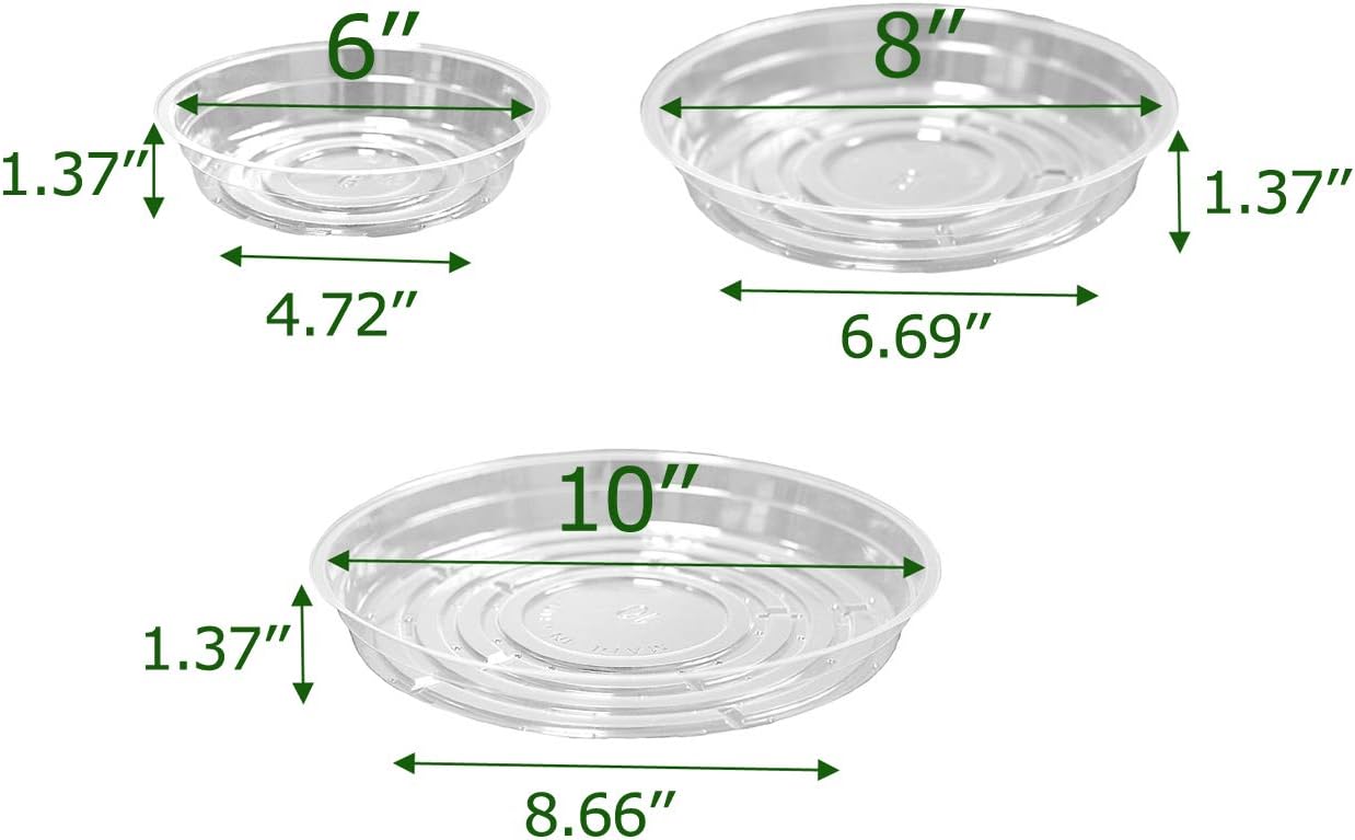 TRUEDAYS 15 Pack(6 inch/8inch/10inch) Clear Plant Saucers Flower Pot Tray Excellent for Indoor & Outdoor Plants : Garden & Outdoor