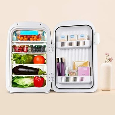 Amazon.com: Ffl2019 refrigerador pequeño refrigerador para ...