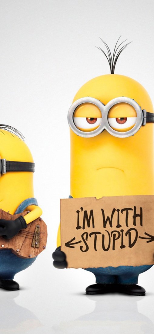 PeelitStickit Minions 2015, vinyl