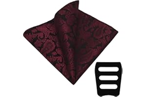 GHTIYLP Men's Handkerchiefs with Pocket Square Holder Paisley Pocket Square Handkerchief for Men Wedding Party Business