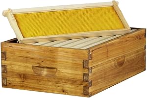 8 Frame Hoover Hives Wax-Coated Medium Super