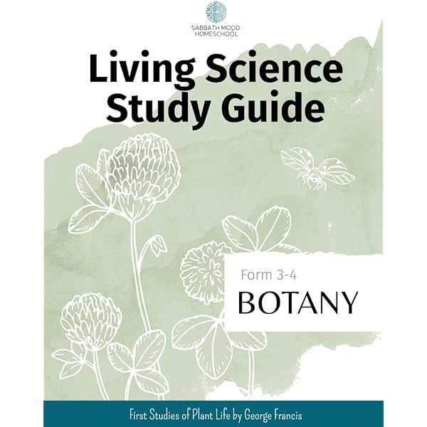 Amazon.com: Storytown Theme Tests, Grade 5, Teacher Edition